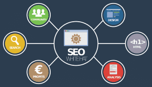 Zaplecze seo strony internetowej a pozycjonowanie
