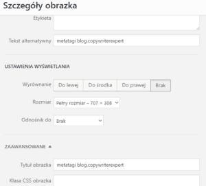 jak google ocenia jakość strony www, atrybuty alt obrazków, zdjęć i filmów na stronie internetowej, SEO
