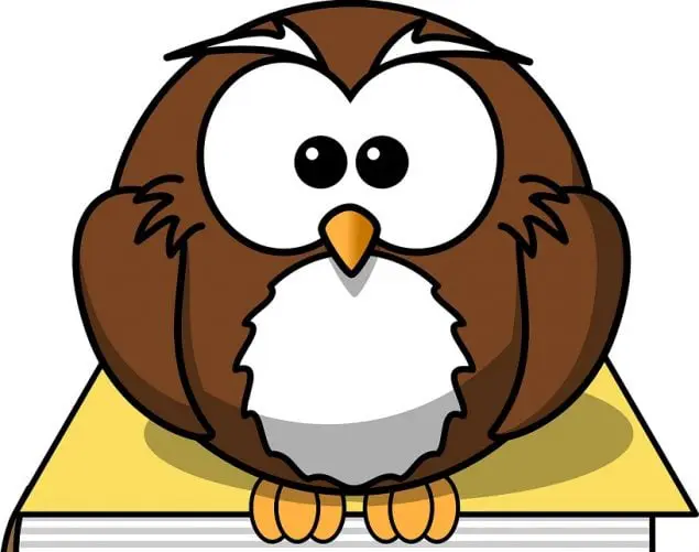 slownik-seo