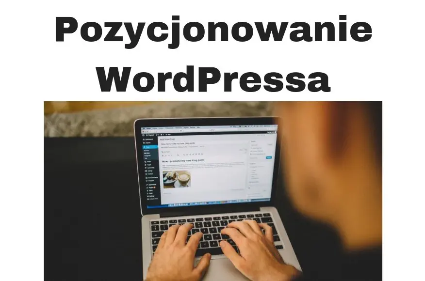 Pozycjonowanie WordPressa stron blogów i sklepów