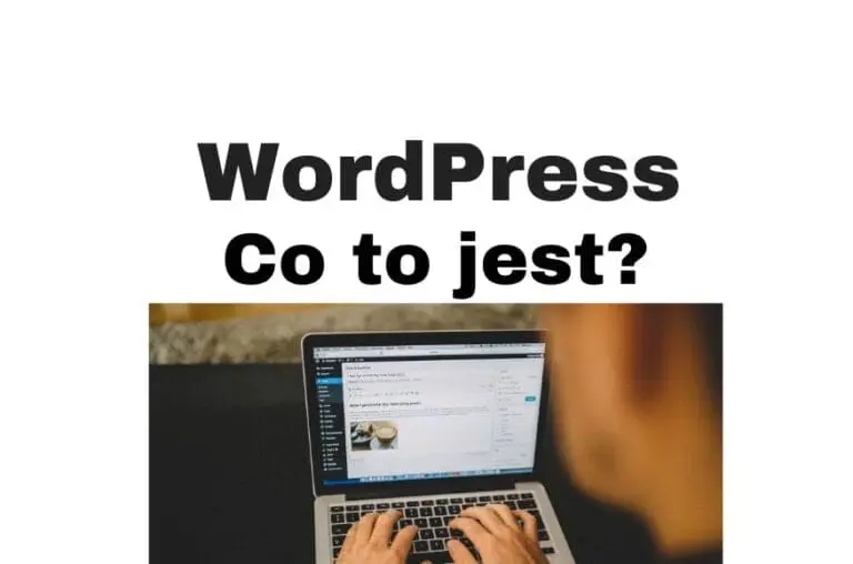 WordPress co to jest? CMS i tworzenie stron www