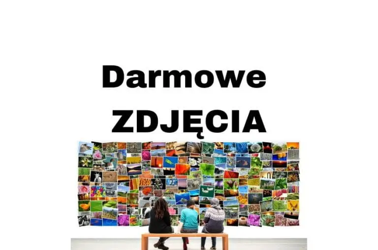Darmowe zdjęcia stockowe do użytku komercyjnego na stronę i bloga