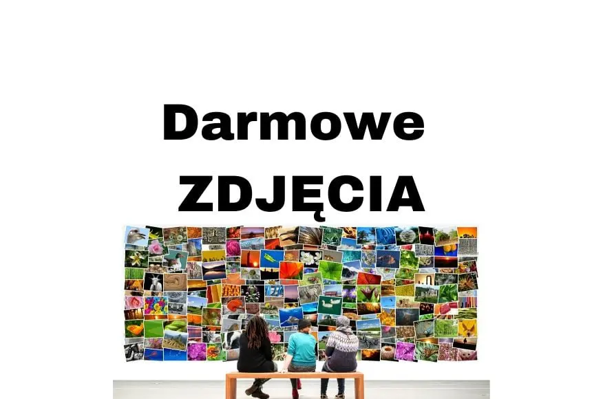 Darmowe zdjęcia stockowe do użytku komercyjnego na stronę i bloga