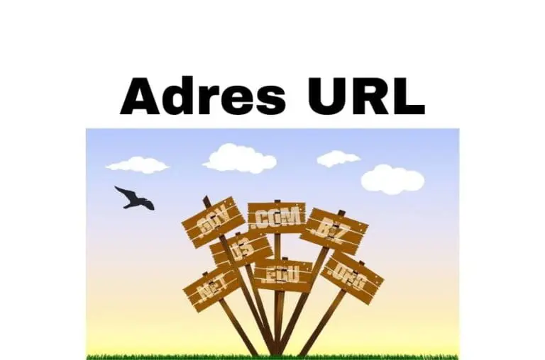 Adres URL strony www, na FB i YouTube - co to jest, jak znaleźć i zmienić