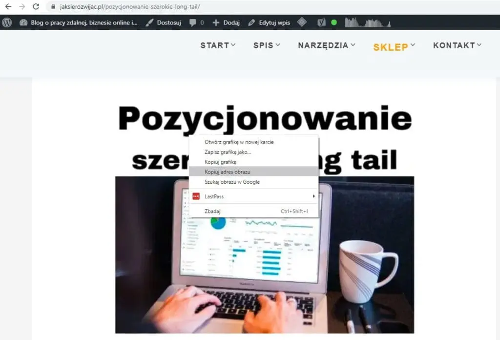 Znalezienie i skopiowanie adresu URL obrazka, zdjęcia na stronie www