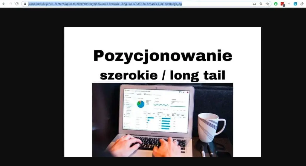 Znalezienie i skopiowanie adresu URL obrazka, zdjęcia na stronie www - część 2
