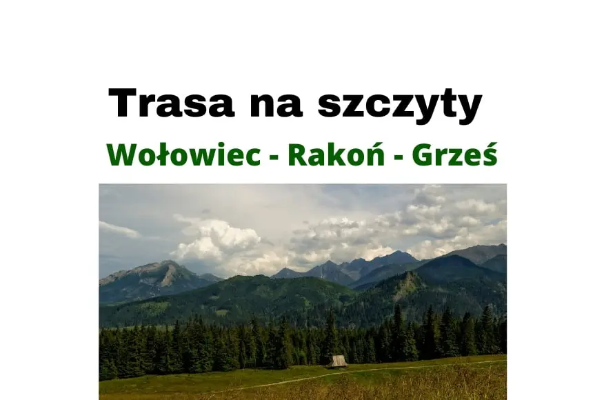 Trasa na szczyty Wołowiec - Rakoń - Grześ przy Dolinie Chochołowskiej