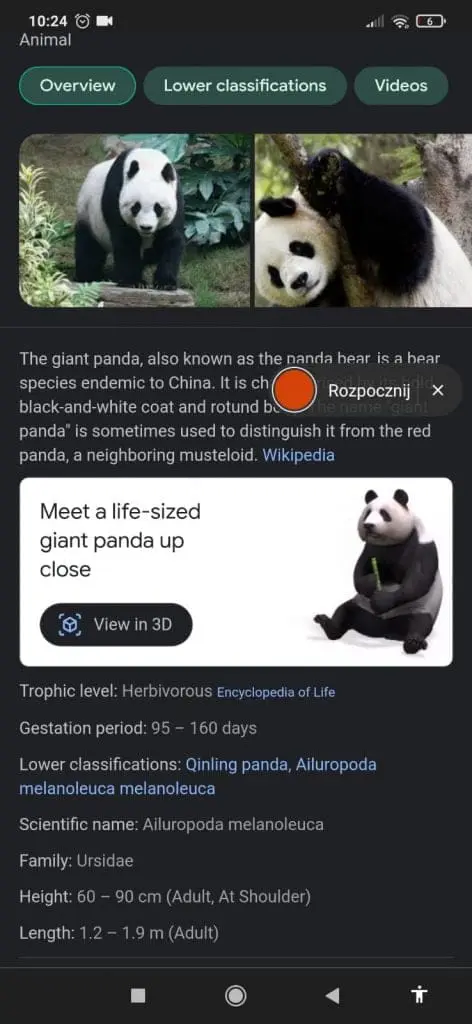 zwierzęta 3D Google - panda i jej lista