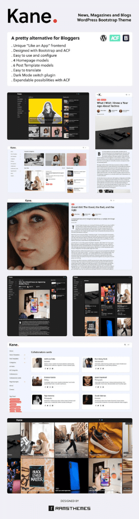 Kane motyw wordpress.png