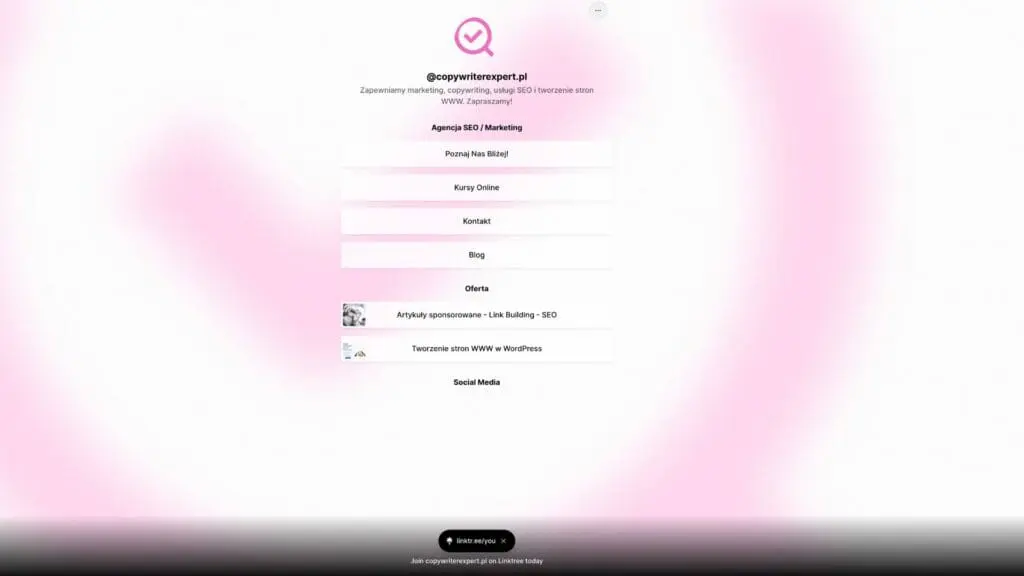 Strona agencji reklamowej wykonana w Linktree do social media tiktok instagram