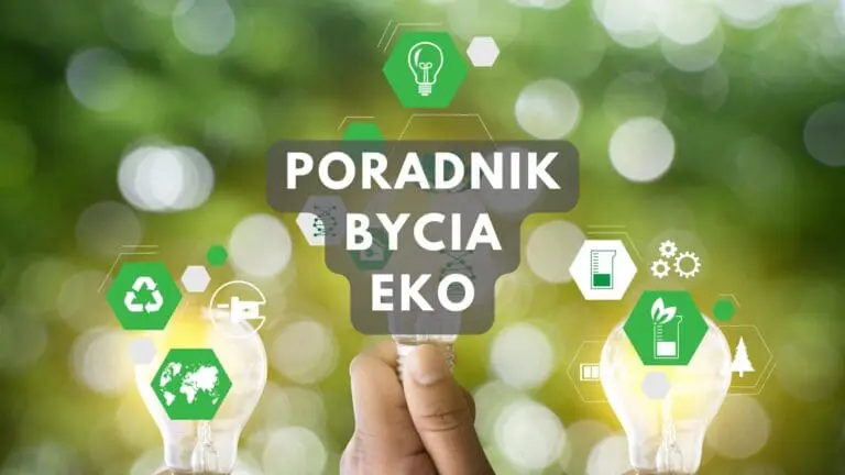 Jak być bardziej ekologicznym na co dzień i żyć w zgodzie z naturą