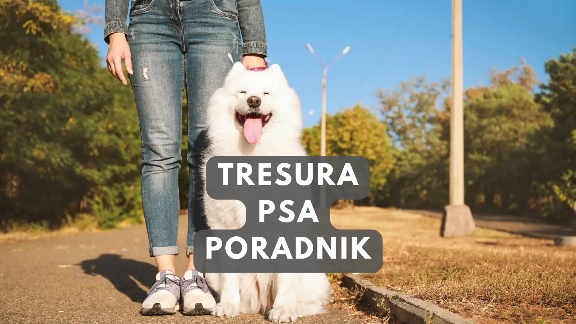 Tresura psa czyli jak wychować psa od szczeniaka - Poradnik - Ebook