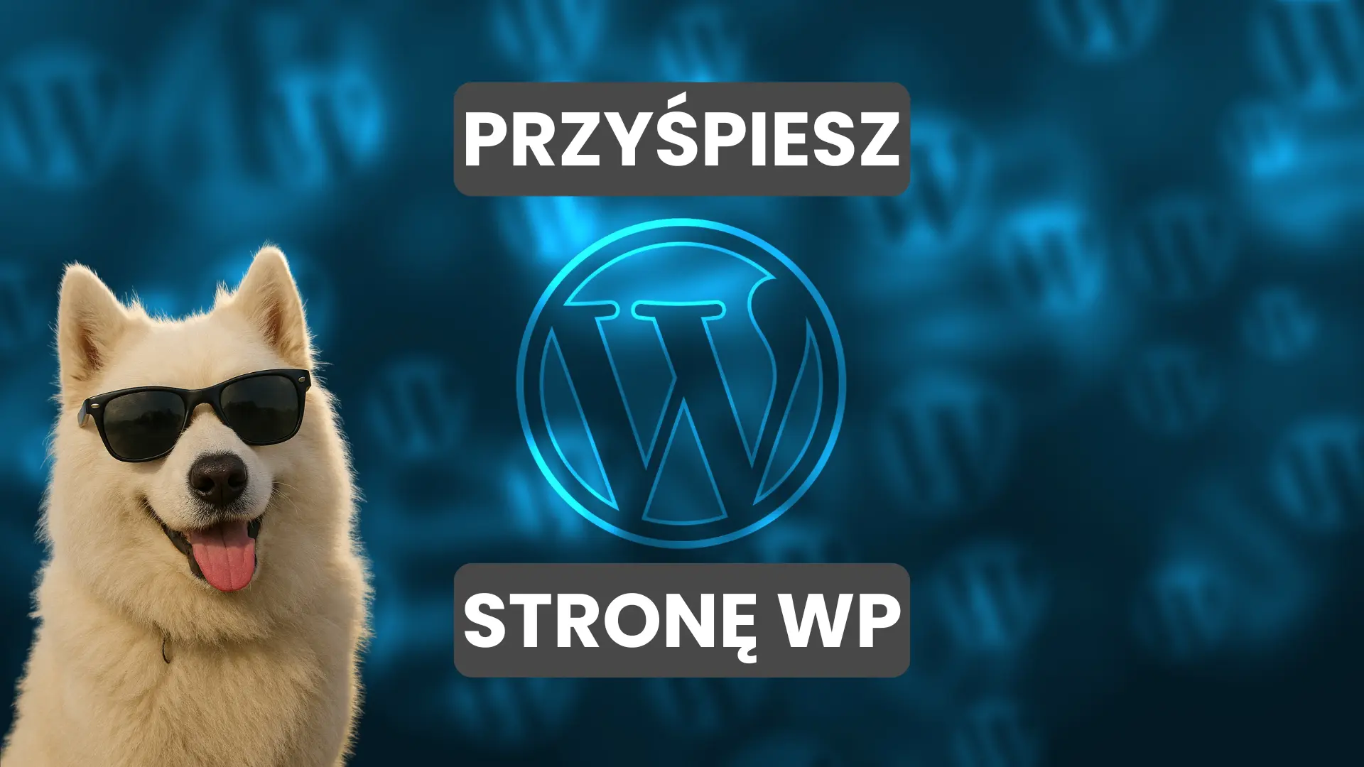 Przyśpiesz Stronę WordPress – Najlepsze Wtyczki WPMU DEV