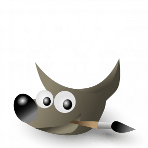 Kurs Gimp 2.1 dla grafika edycja i obróbka zdjęć fotografii